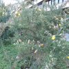 20171217_0420