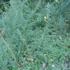 20171217_0421