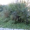 20171217_0424