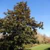 20171217_0430