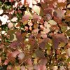 20171217_0433