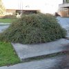 20171217_0437