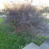 20171217_0440