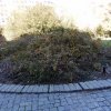 20171217_0441