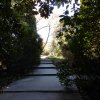 20171217_0448