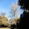 20171217_0450