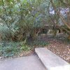 20171217_0451