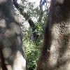20171217_0454