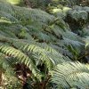 20171217_0455