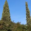 20171217_0457