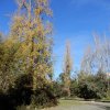 20171217_0459