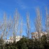 20171217_0460