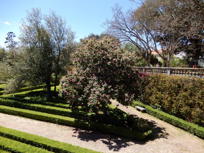 20180515_0702