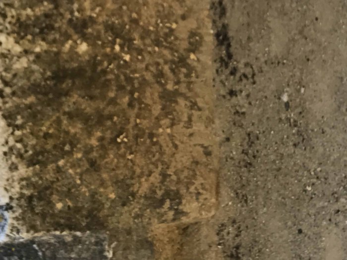 20180515_i0452