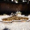 20180515_0698