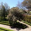20180515_0702