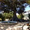 20180515_0703