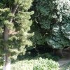 20180831_0833