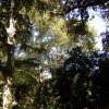 20180831_0852