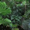 20160523_1707