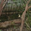 20160523_1712