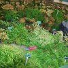 20160523_1715