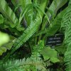 20160523_1717