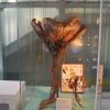 20160523_1561