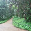 20160523_1570