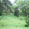 20160523_1572