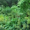 20160523_1574