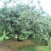 20160523_1577