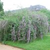 20160523_1579