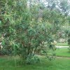 20160523_1581