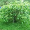 20160523_1583