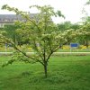 20160523_1584
