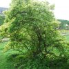 20160523_1586
