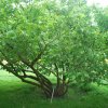 20160523_1587