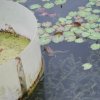 20160523_1603