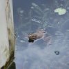 20160523_1606