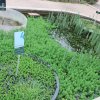 20160523_1607