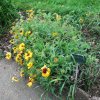 20160523_1619