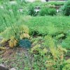 20160523_1620