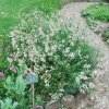 20160523_1643