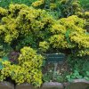 20160523_1665