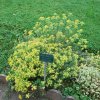 20160523_1671