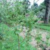 20160523_1673