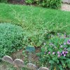 20160523_1681