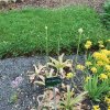 20160523_1691