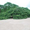 20160523_1591
